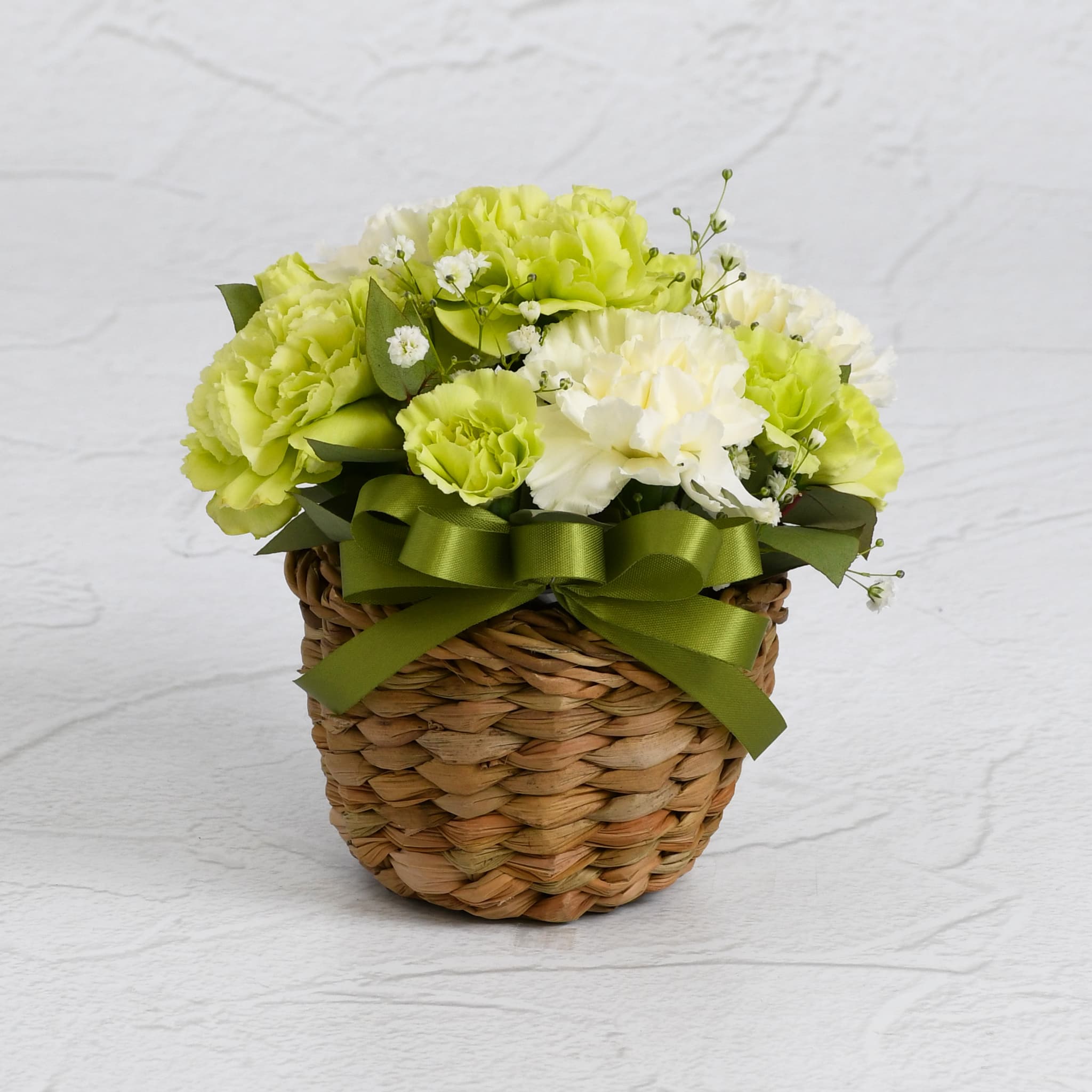 【母の日】カーネーションバスケットアレンジ/グリーン×ホワイト/Sサイズ