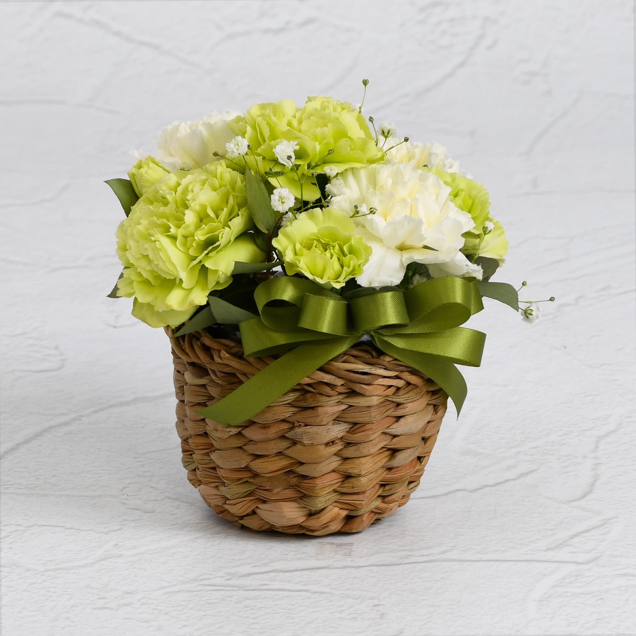 【母の日】カーネーションバスケットアレンジ/グリーン×ホワイト/Sサイズ