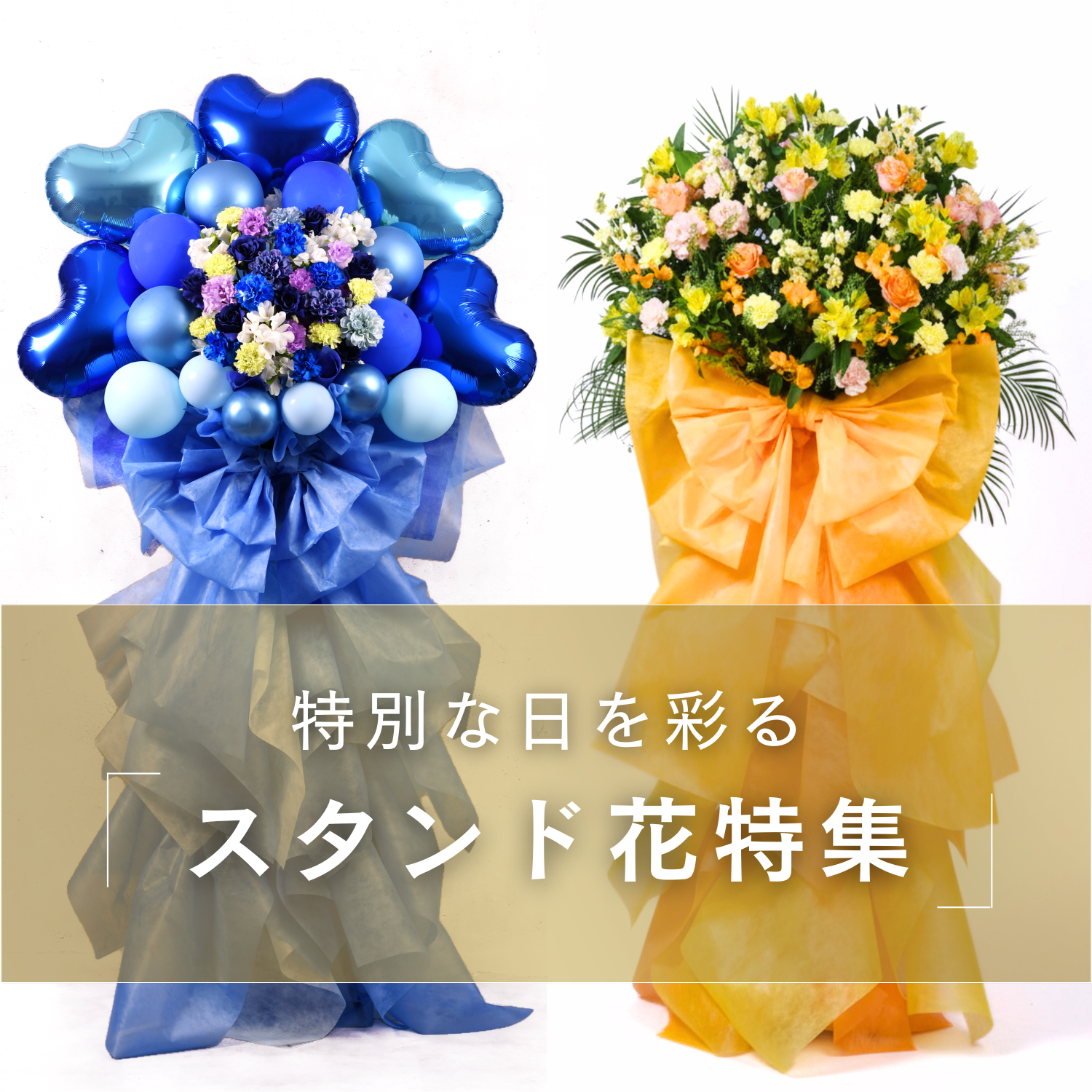 スタンド特集